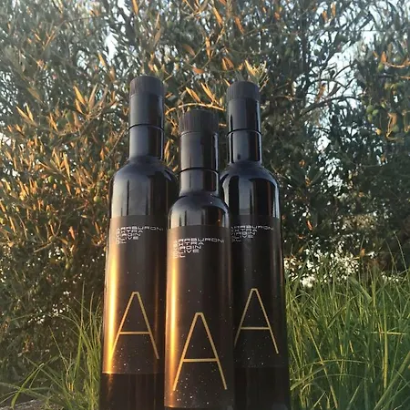 Arrburoni Konukevi 3*