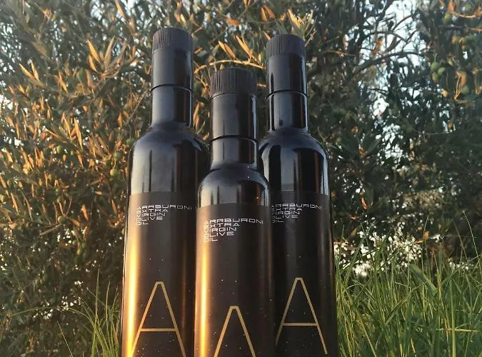 Arrburoni Gasthuis 4*