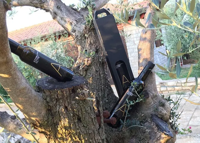 Gasthuis Arrburoni Dajla